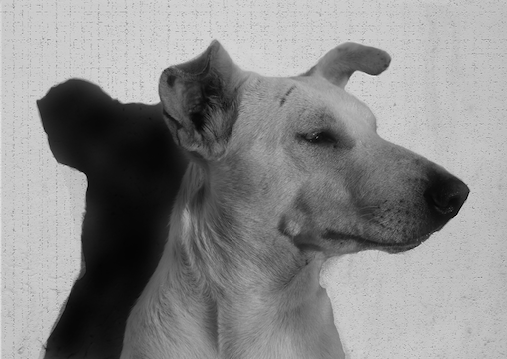 Festival de Monlogos de Mujeres Xol