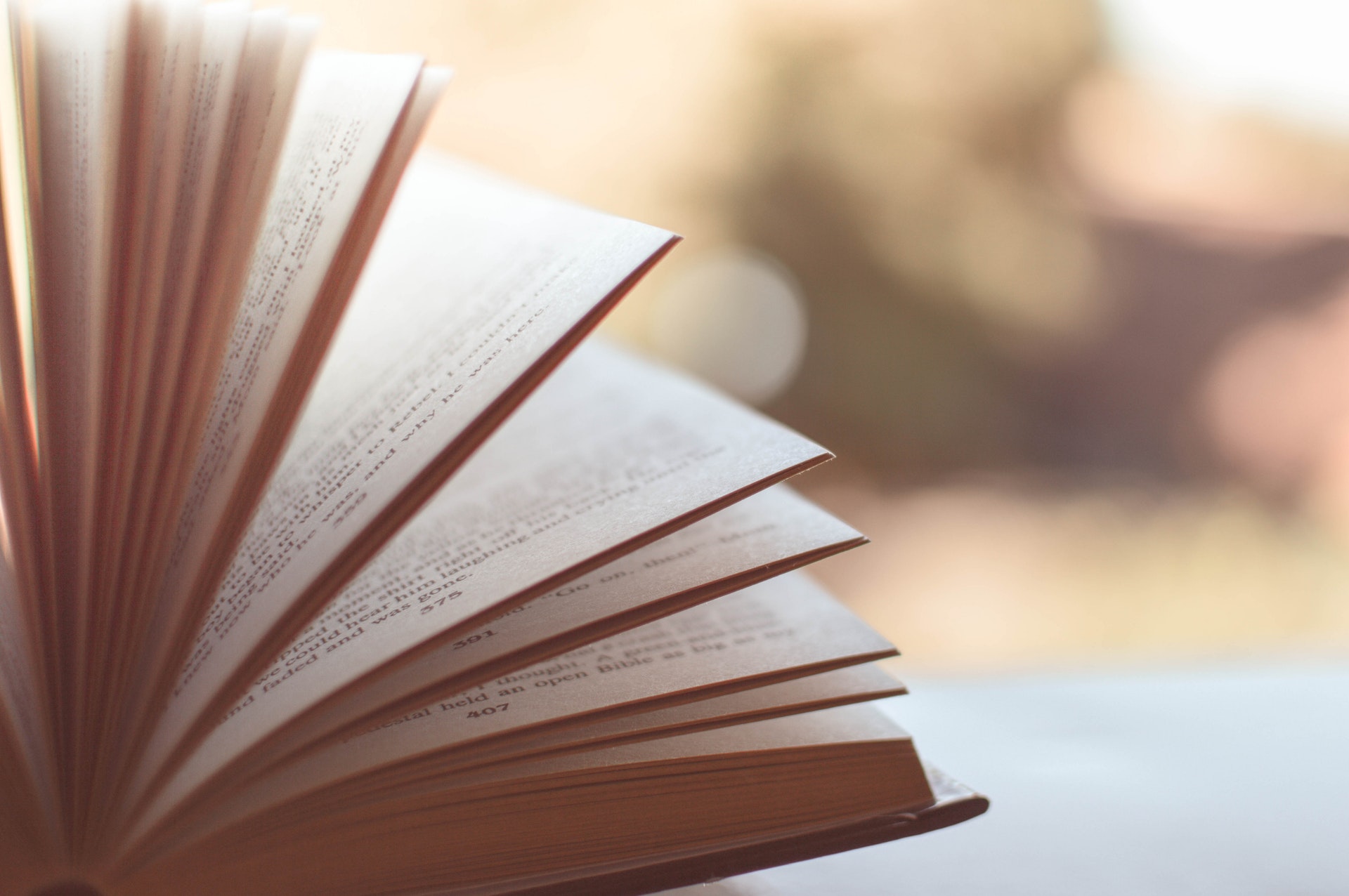 Presentacin del libro Cuntos soldados se necesitan para enterrar a un conejo
