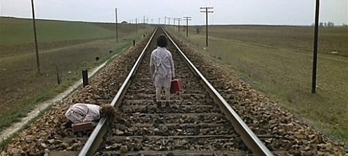 Clsicos contigo El espritu de la colmena