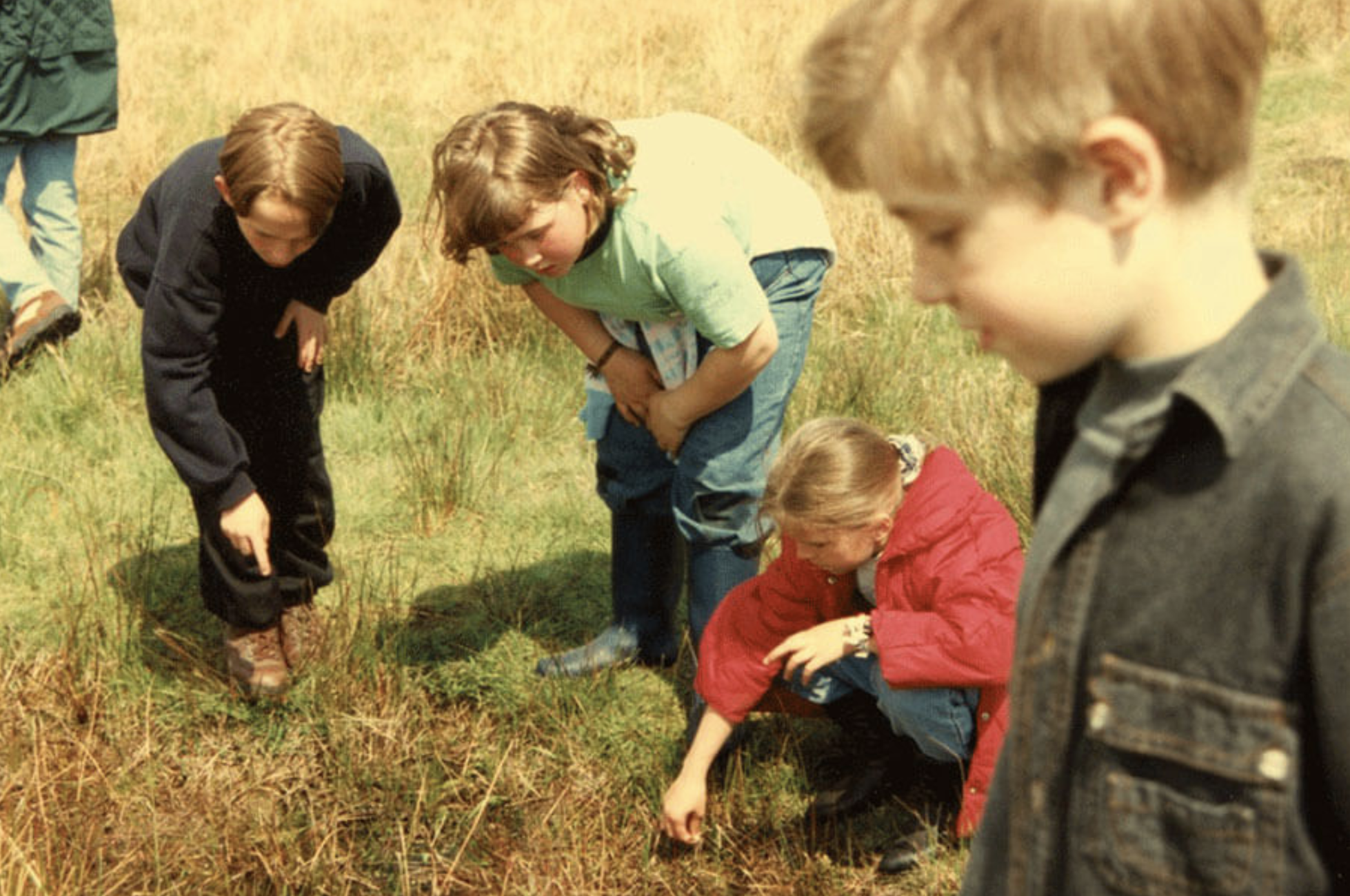 Escuela de atencin mutua