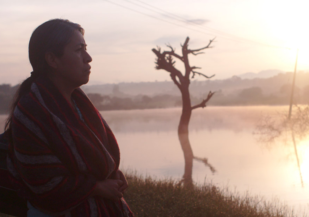 Sin seas particulares gana el VI Premio Cooperacin Espaola del SSIF