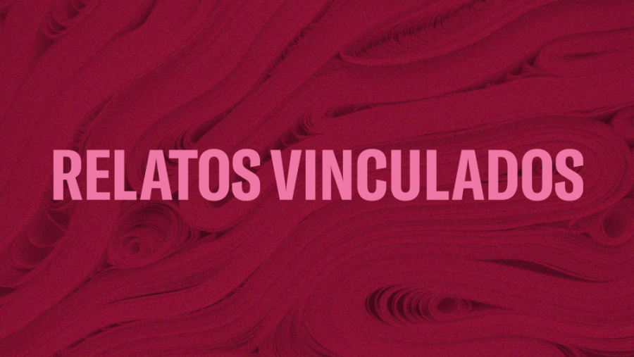 Presentacin de la novela Relatos vinculados