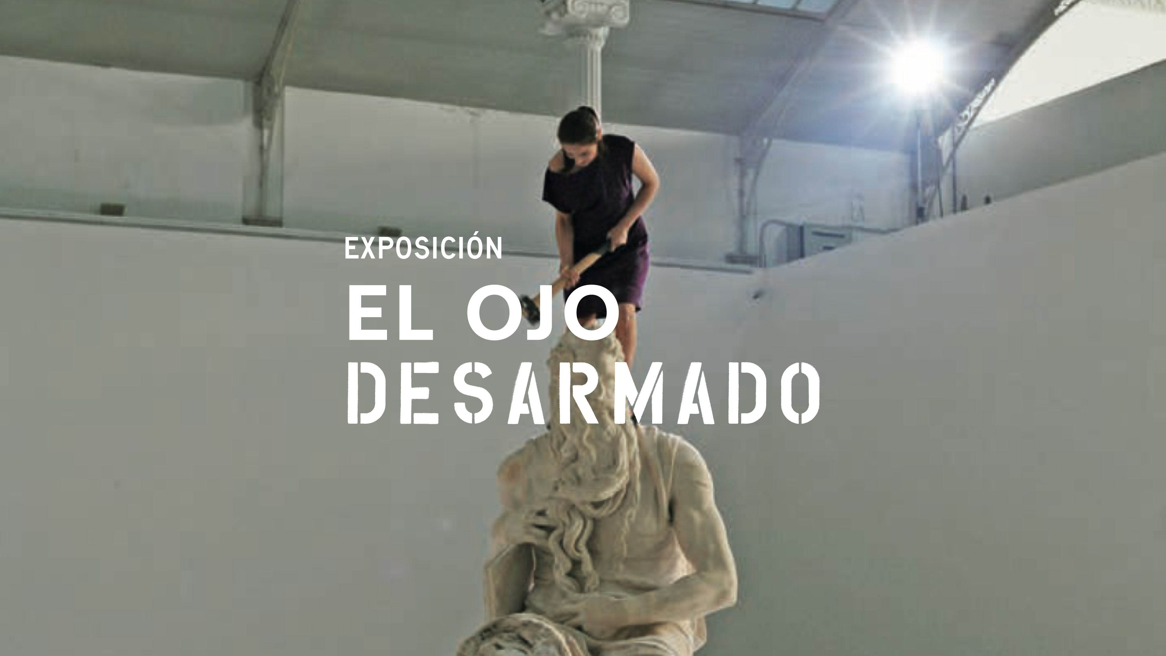 Exposicin El ojo desarmado
