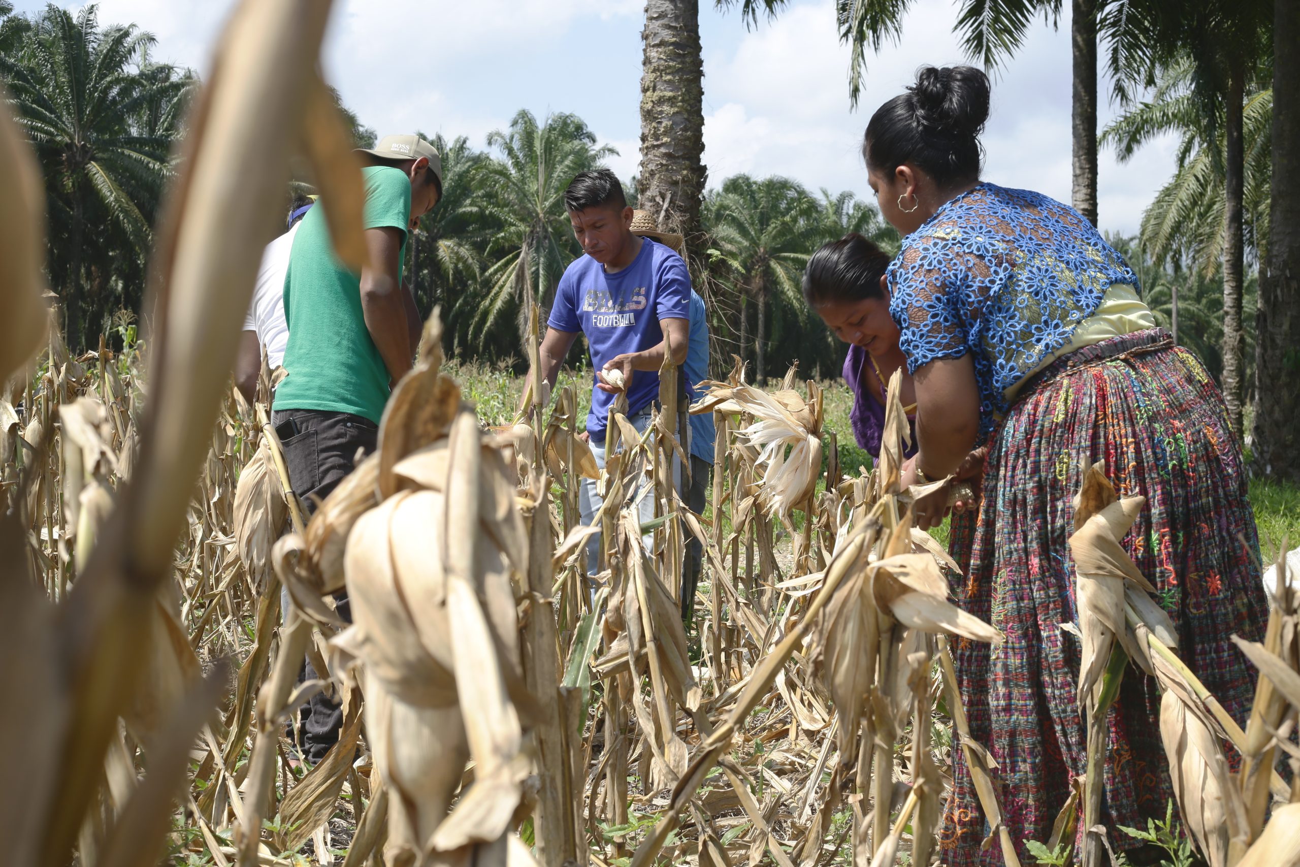 Cineforo Entretejiendo caminos