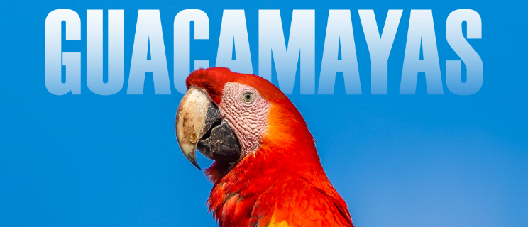 Cineforo Guacamayas