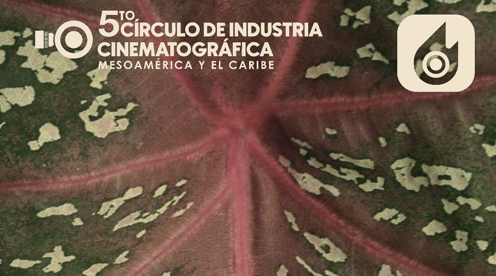 Círculo de la Industria Cinematográfica 2025