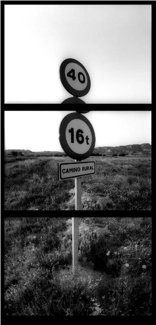 Inauguracin muestra Espaormicas