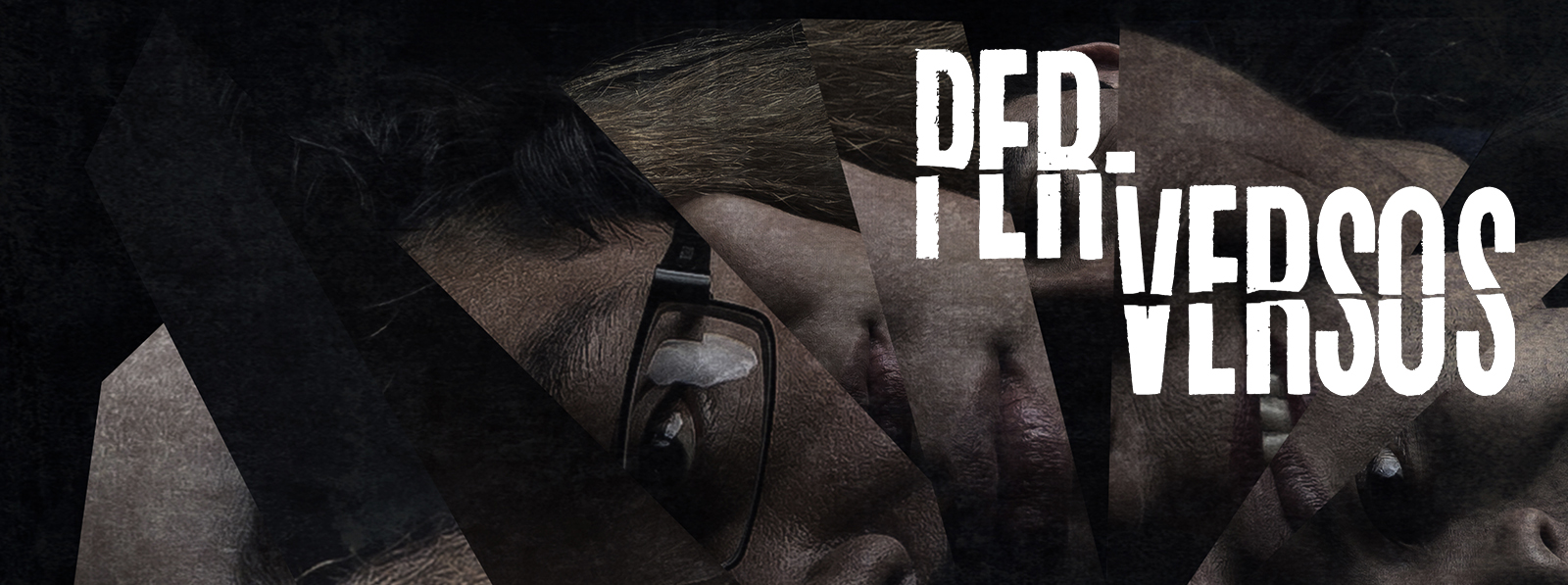 Presentacin de libro PerVersos