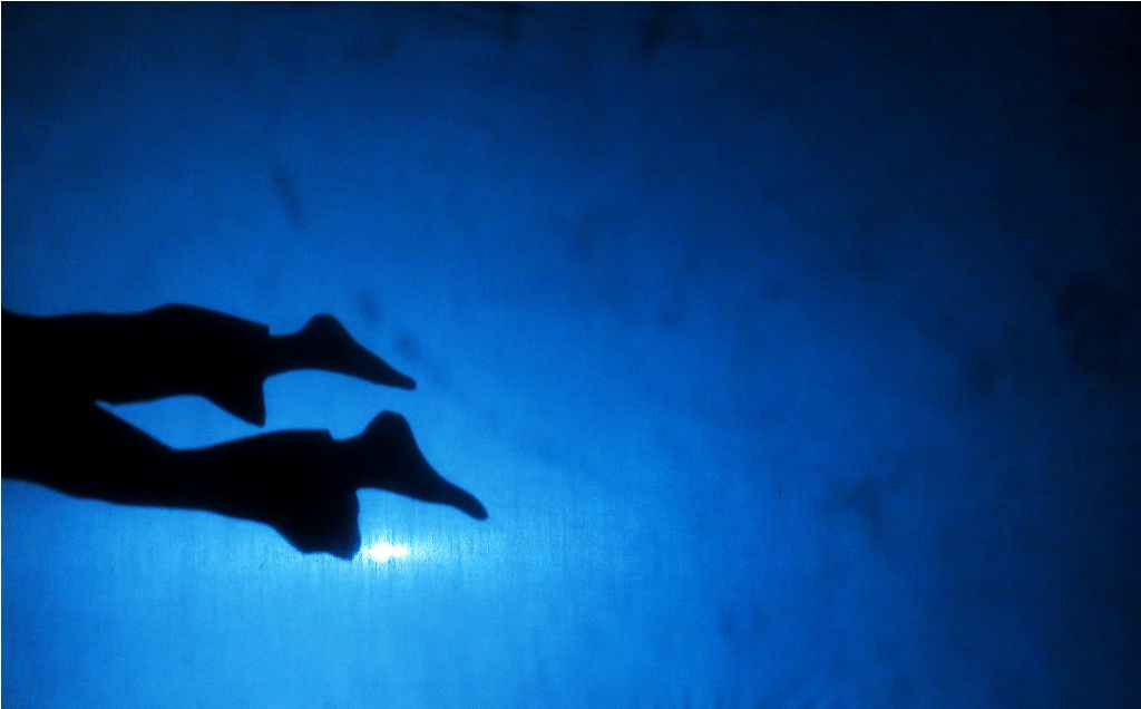 Teatro Pescador pez Teatro de Sombras