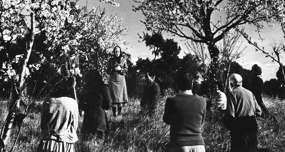 Viridiana en Clsicos contigo