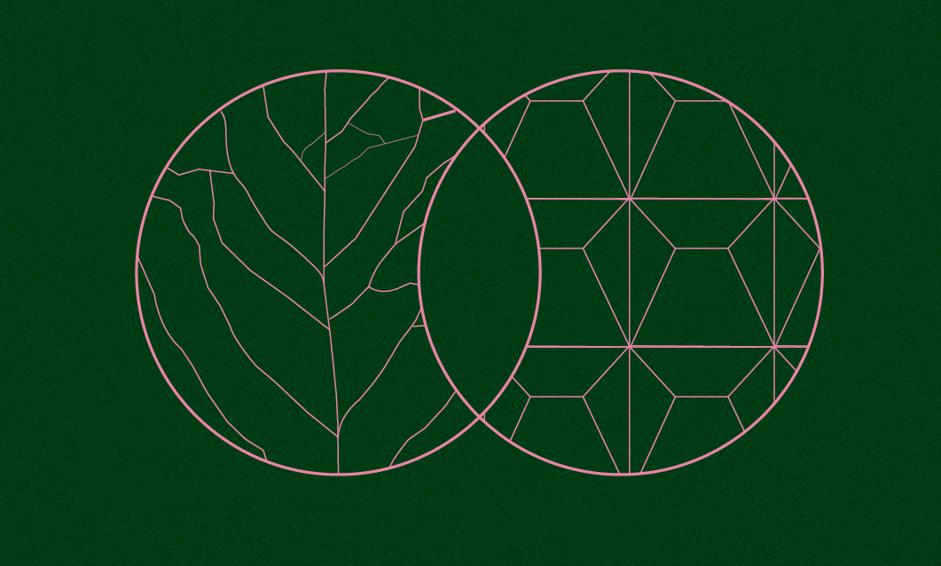 Semana del Medio Ambiente