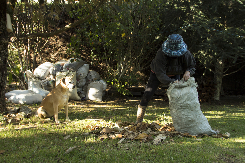 Conversatorio inaugural exposicin Proyecto Maya Transfronterizo