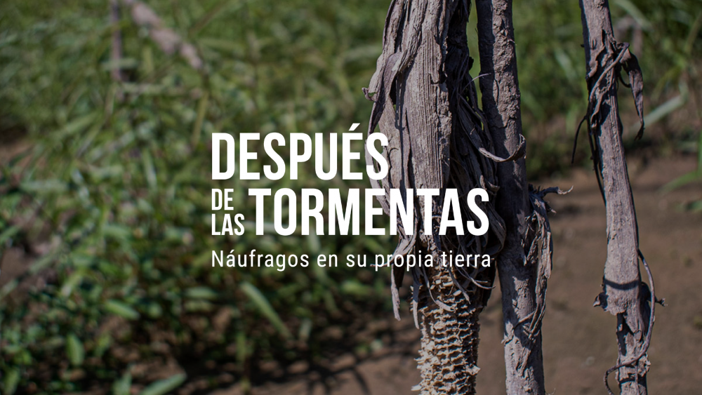 Despus de las tormentas