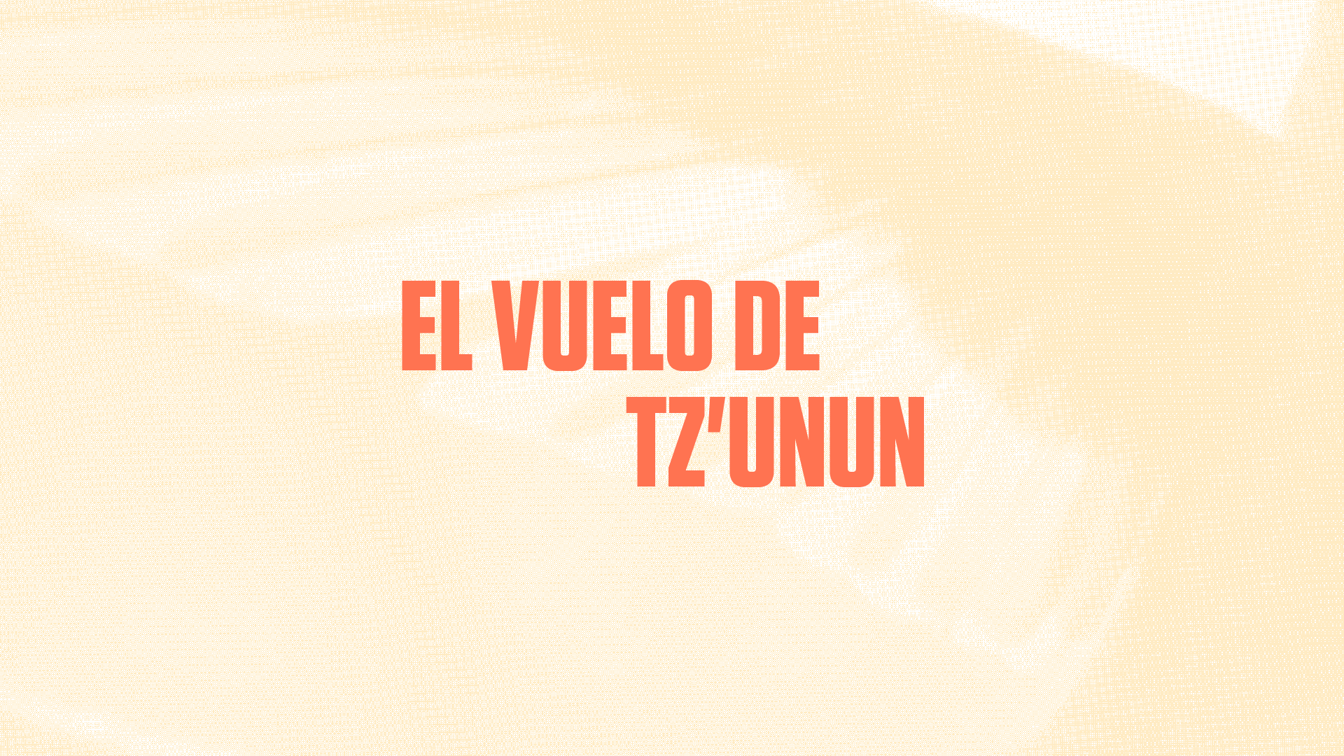El vuelo de TZUNUN