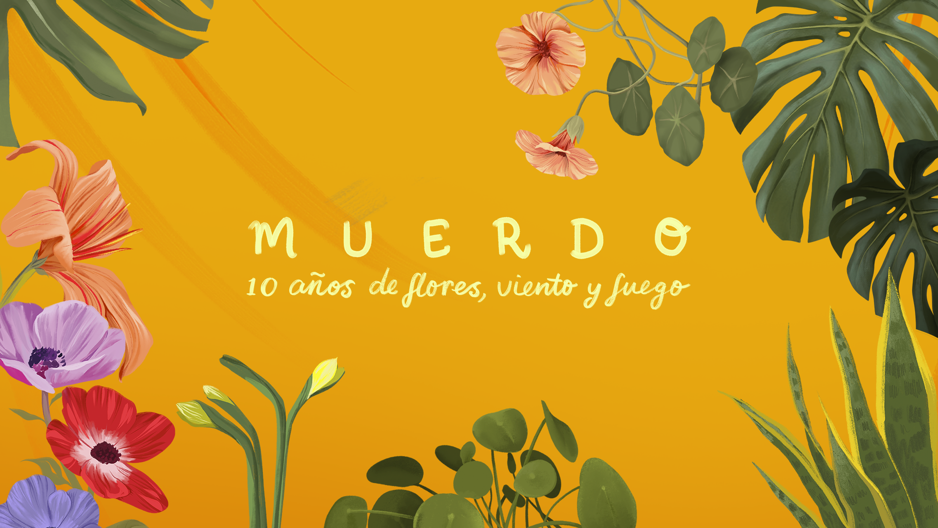 10 aos de Flores Viento y Fuego