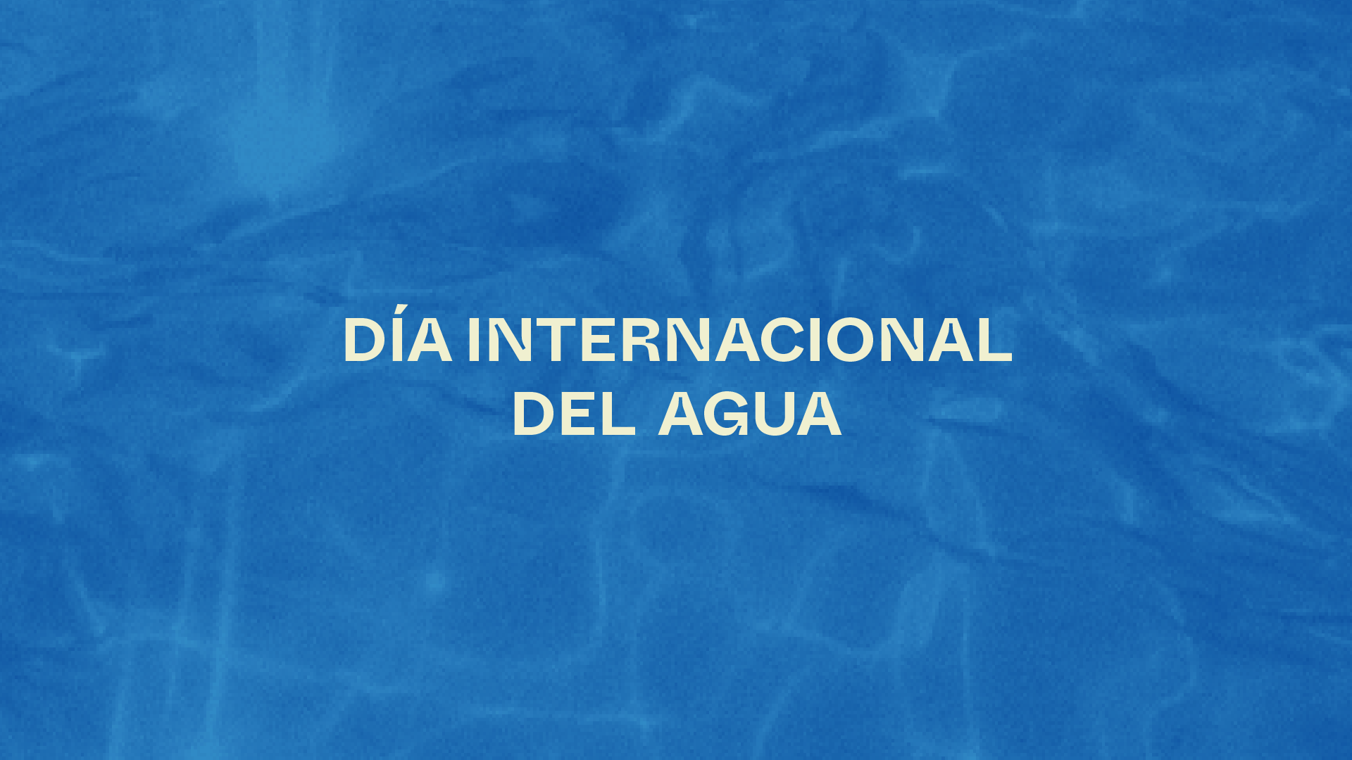 Cineforo Reflejos en el agua dilogos audiovisuales indgenas GuatemalaColombia