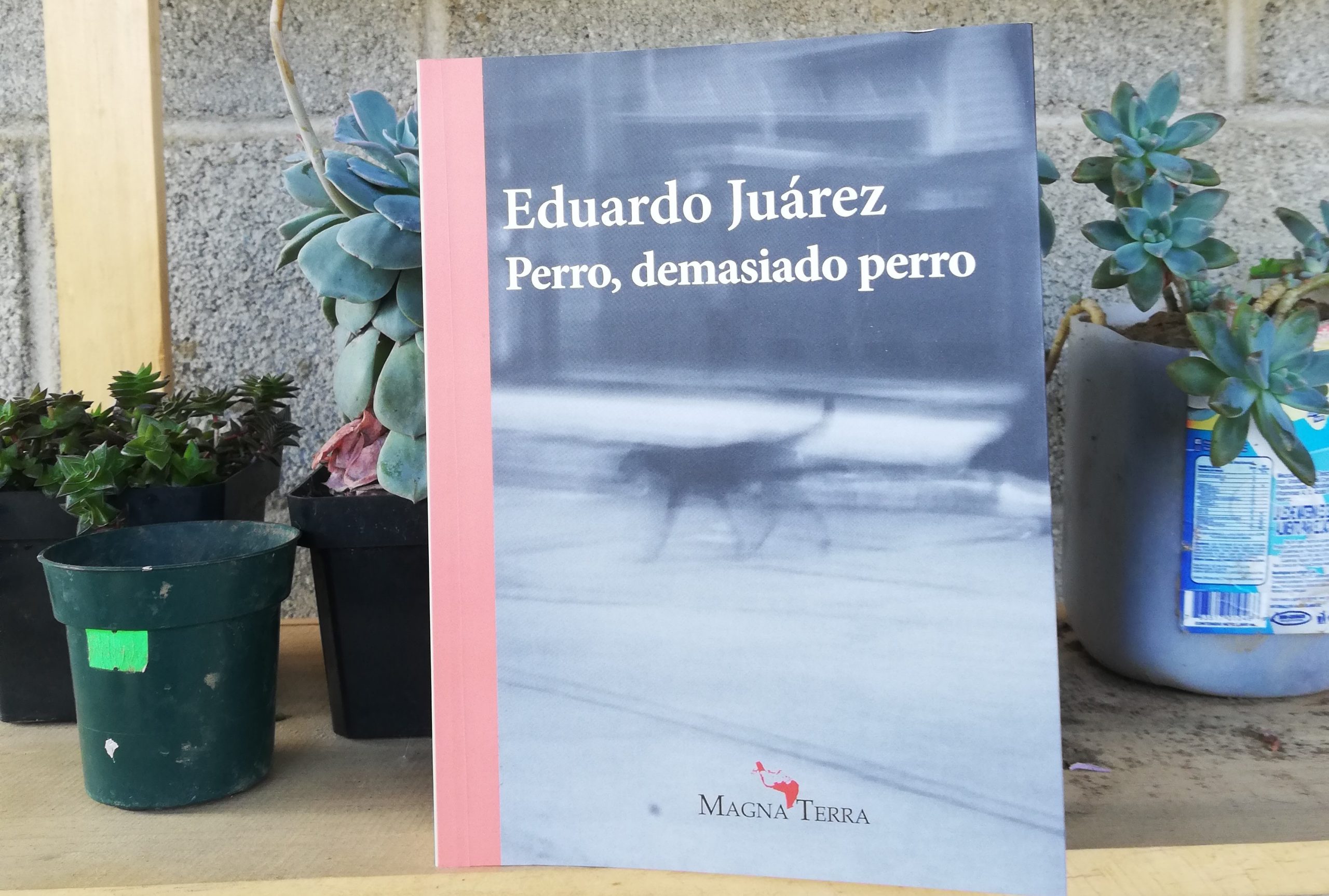 Perro demasiado perro