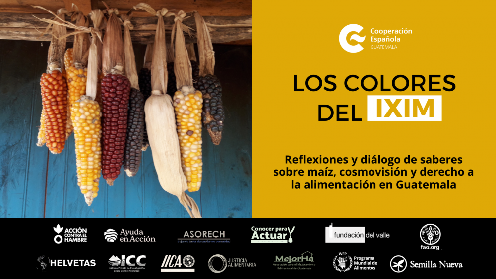 Los colores del Ixim