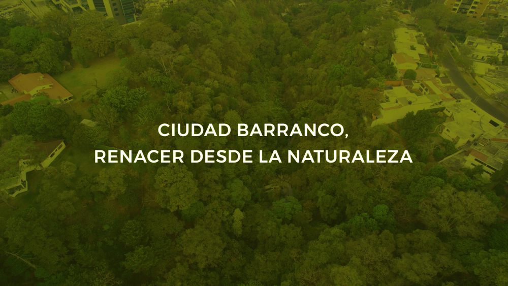 Ciudad Barranco renacer desde la naturaleza