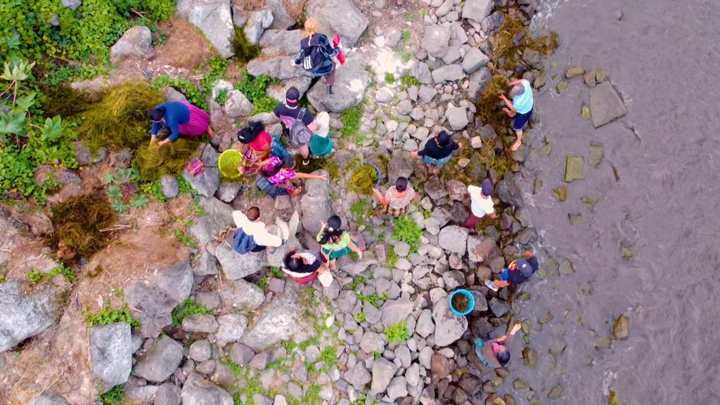 Las Guardianas del Lago