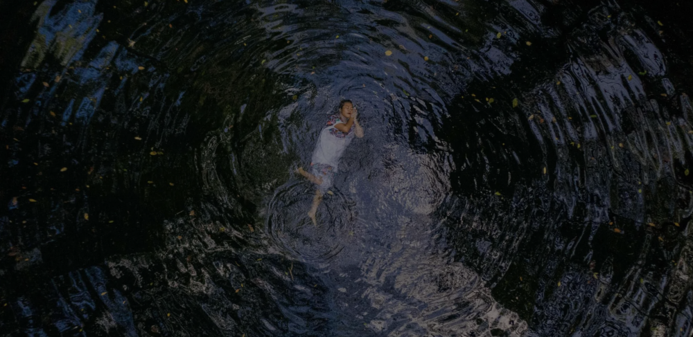 Colectivos Seleccionados ECO24