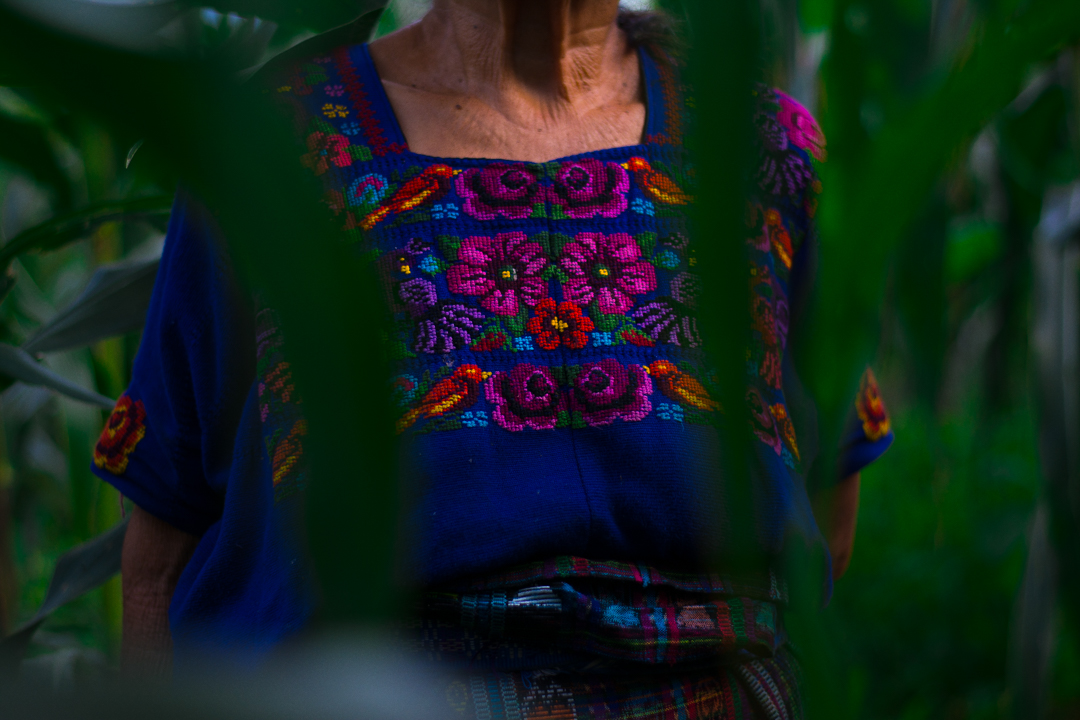 Laboratorio de solsticio de invierno Trabajo creacin y memoria o de como se reproduce comunalmente la vida