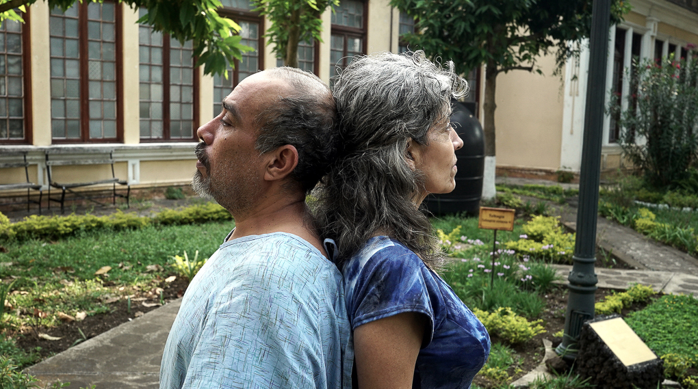 Teatro: El alimento de las moscas