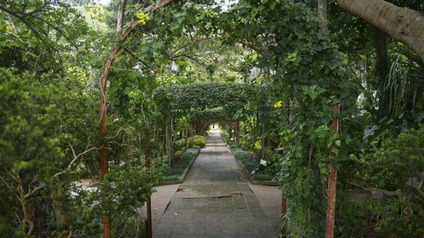 Caminata fotográfica en el Jardín Botánico