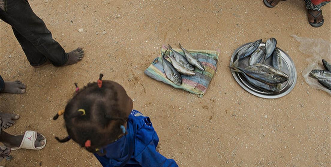 Proyecto en Mauritania