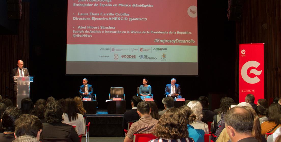 Empresa y desarrollo